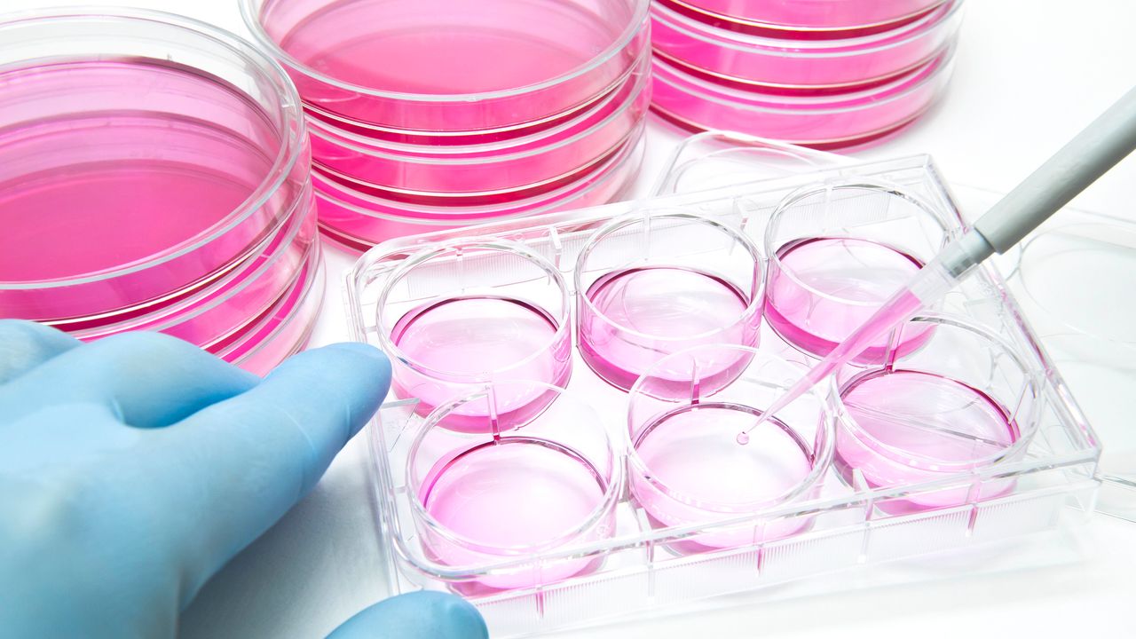 Logo for Cell Culture