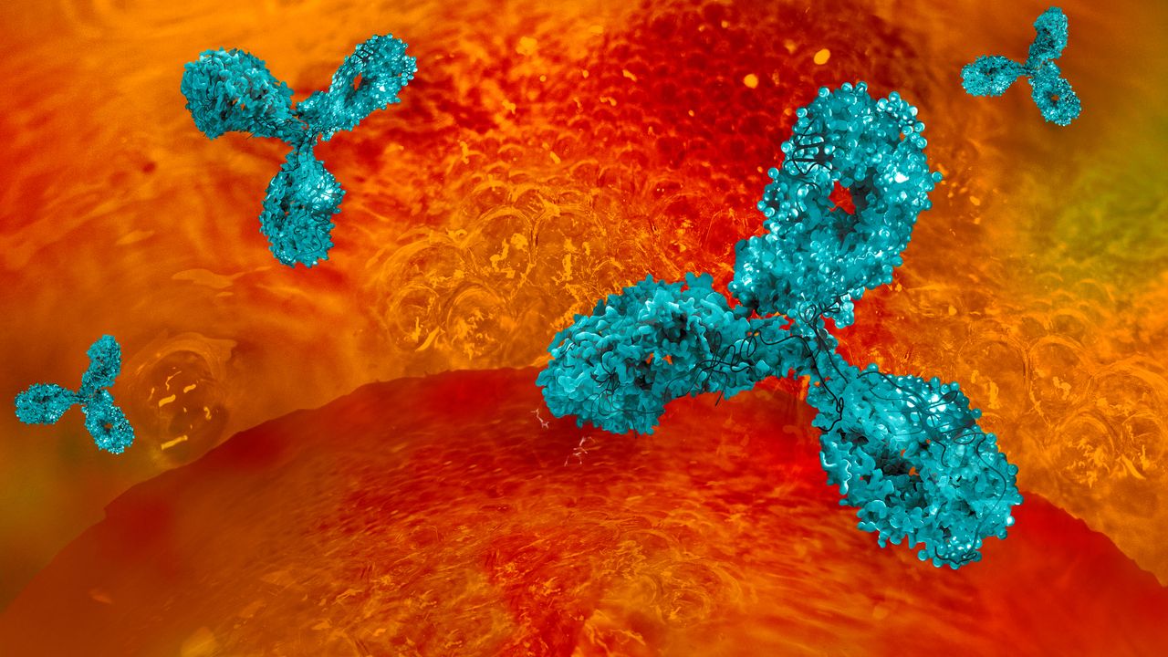 Logo for Immunoassays