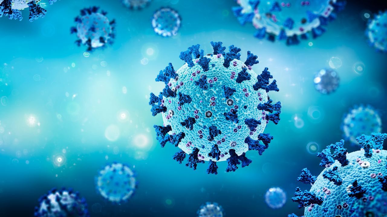 Logo for The COVID-19 Pandemic