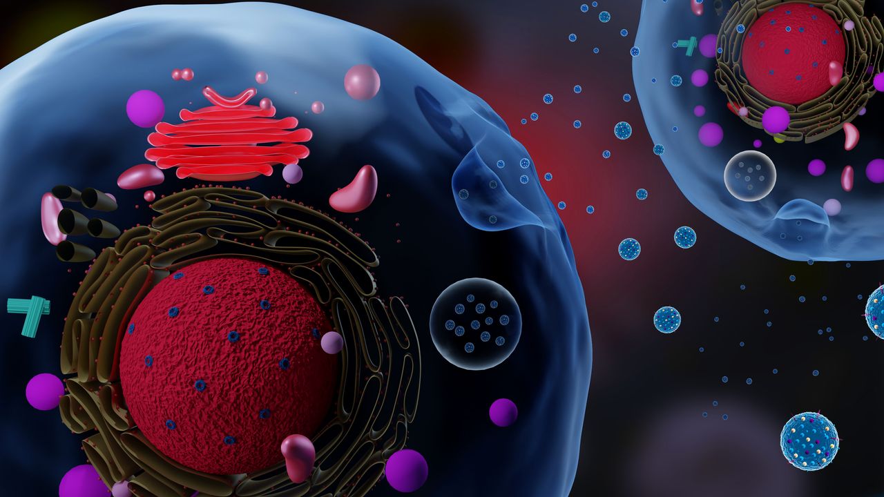Logo for Exosomes