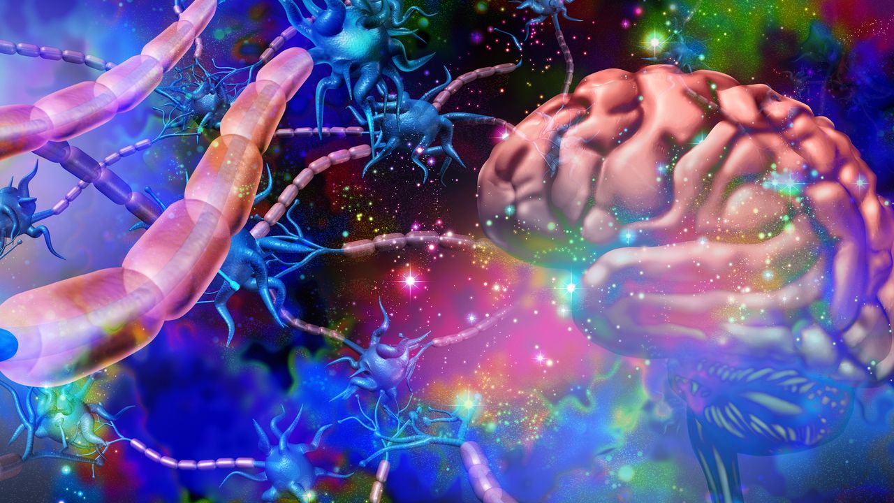 Logo for Psychedelics
