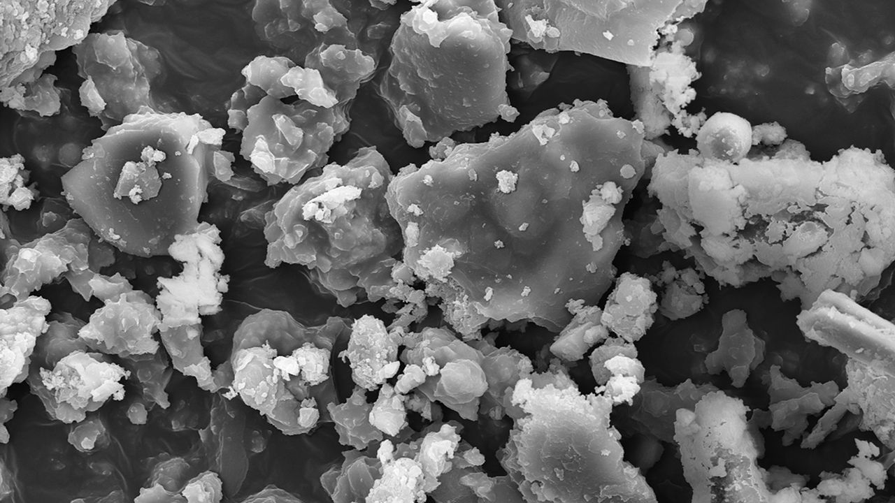 Logo for Electron Microscopy