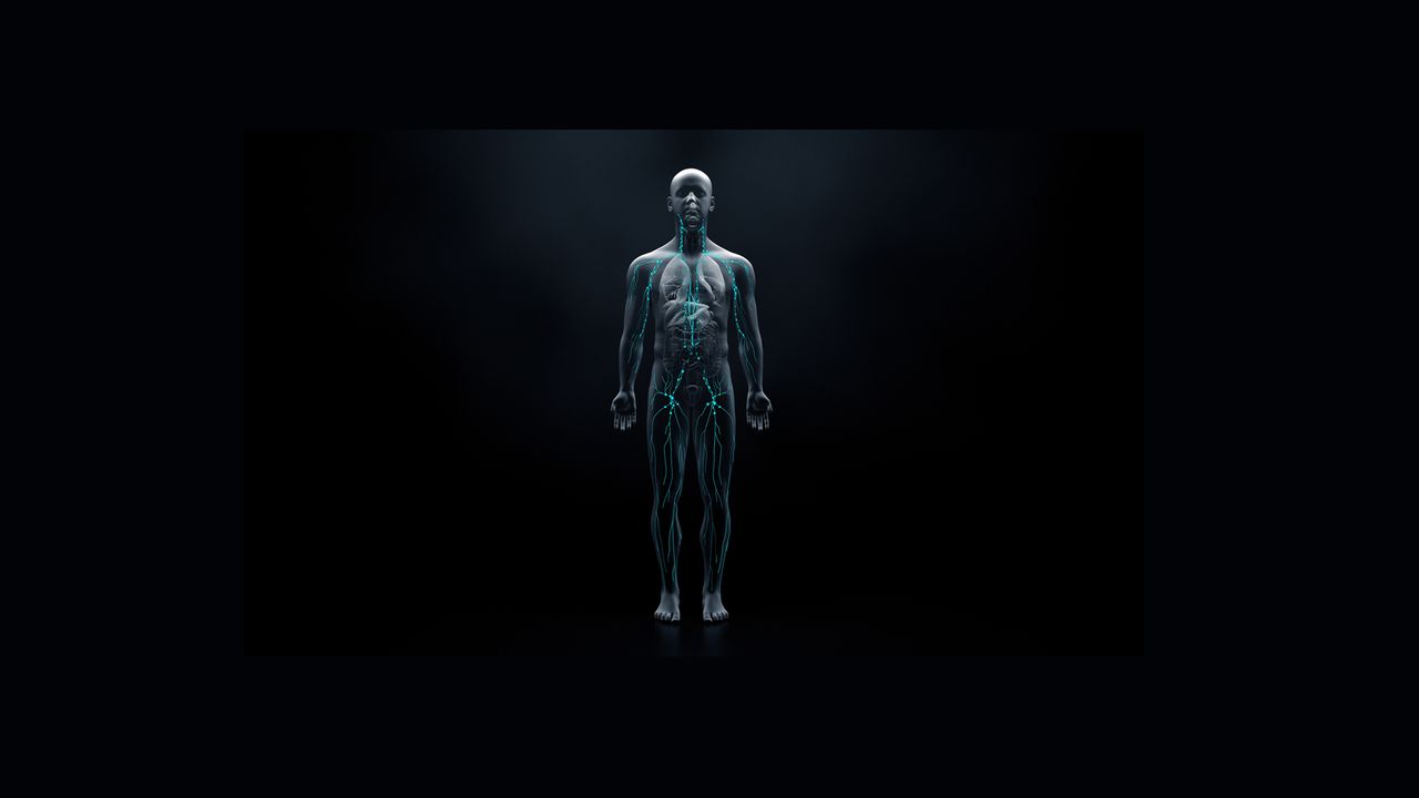 Logo for The Immune System