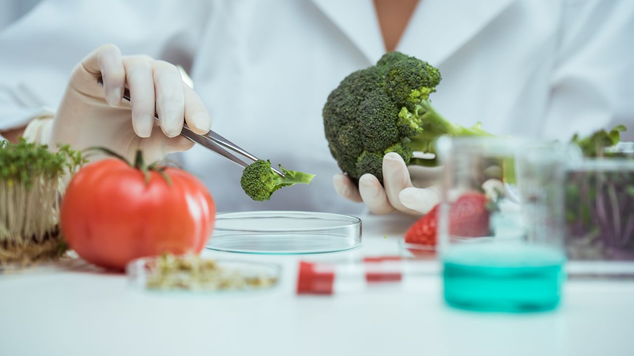 Logo for Food and Beverage Analysis