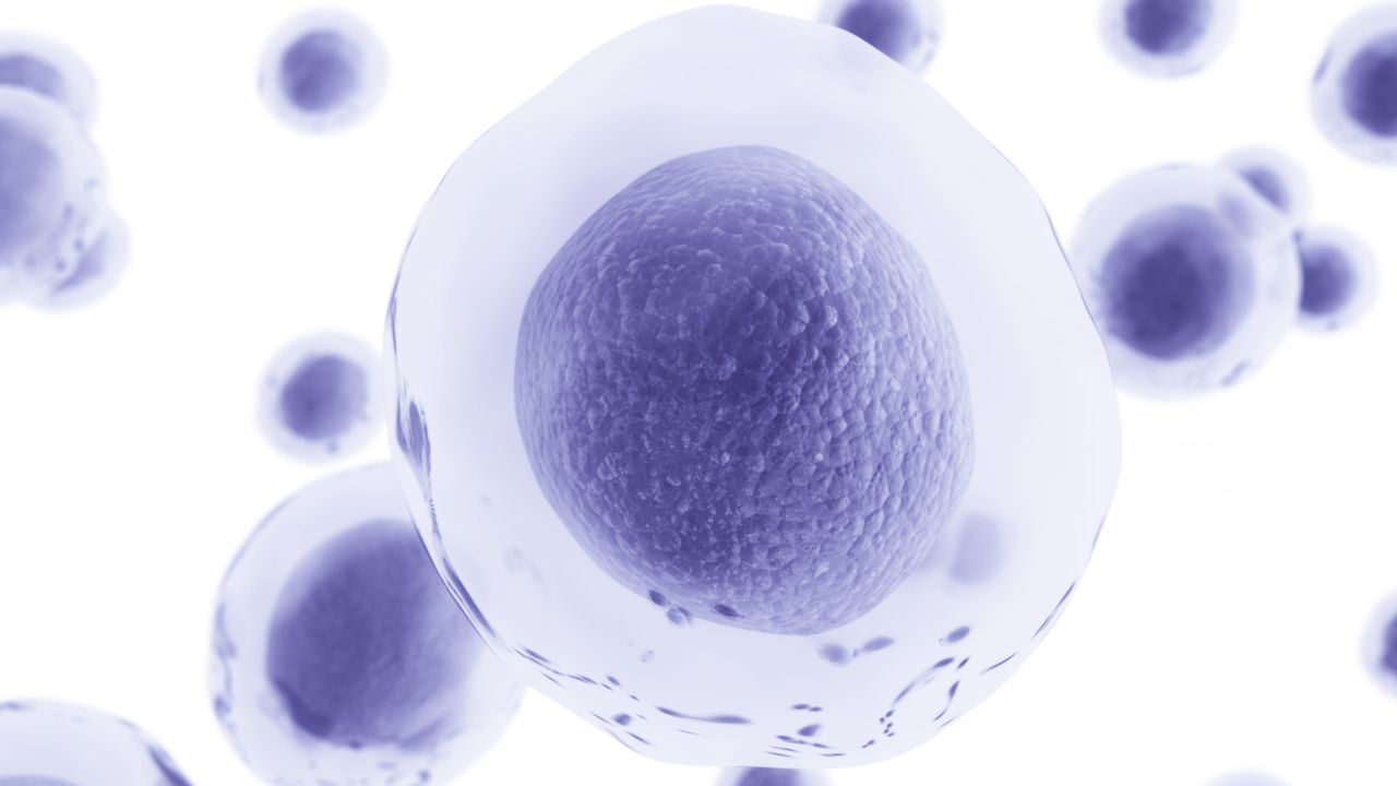 Logo for Single-Cell Analysis