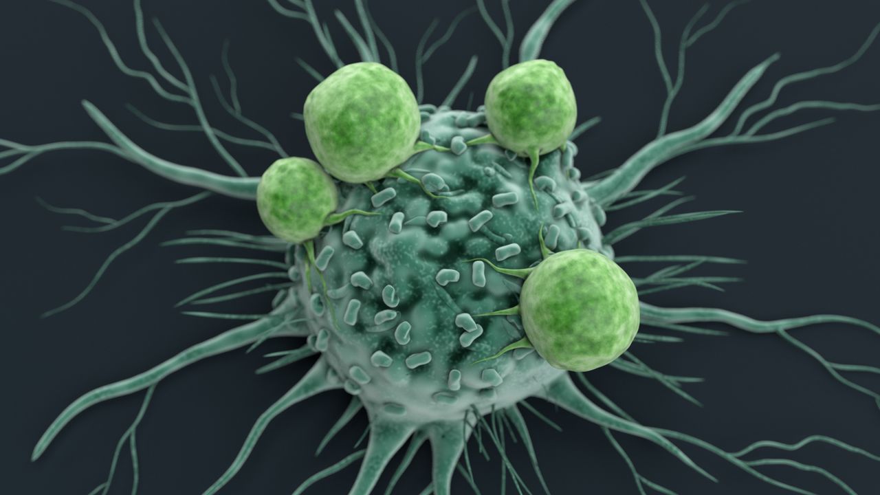 Logo for Cell Signaling