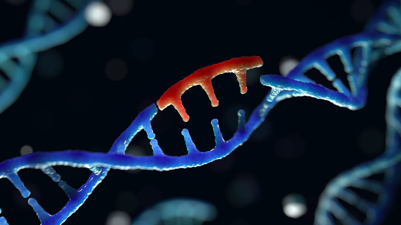 Logo for CRISPR and Genome Editing