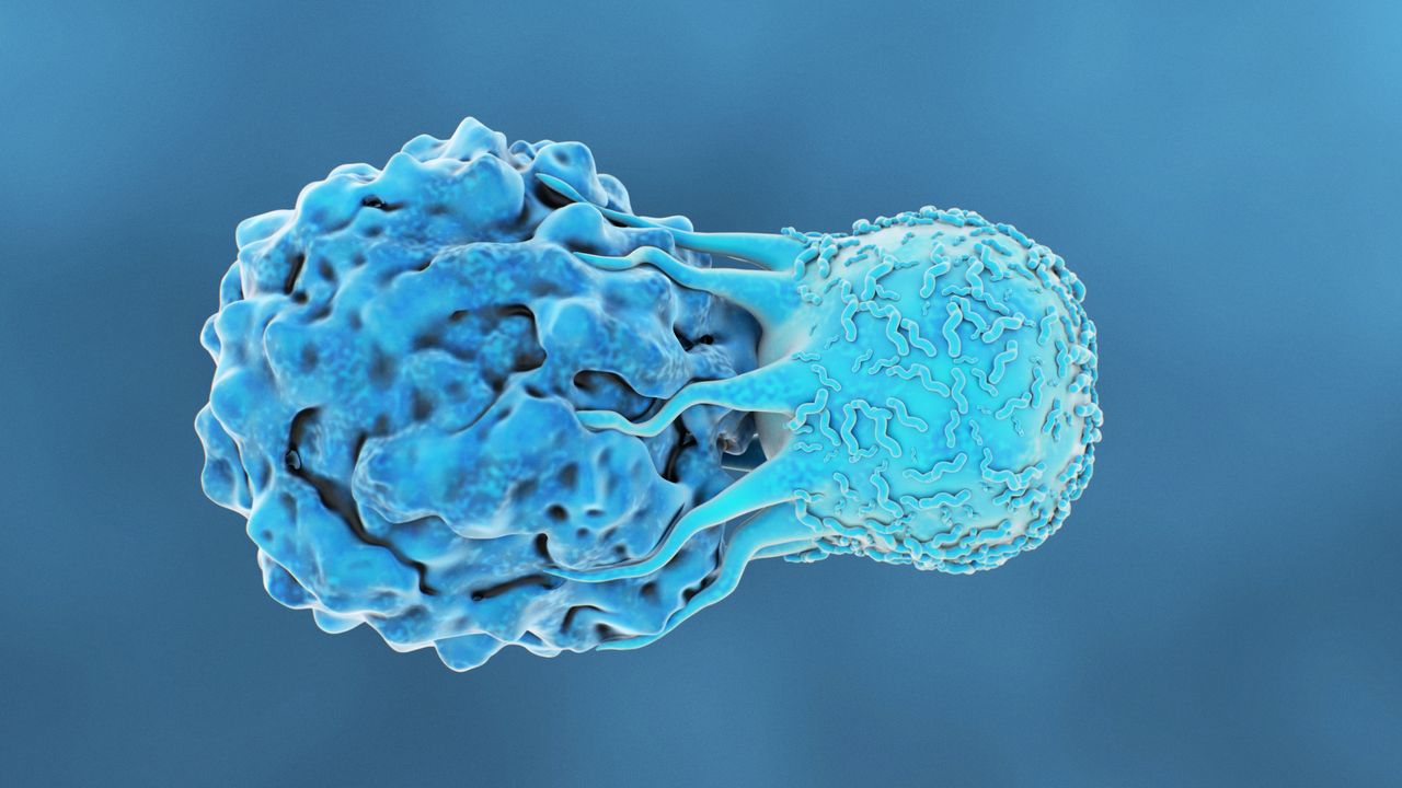 Logo for Cancer Immunology