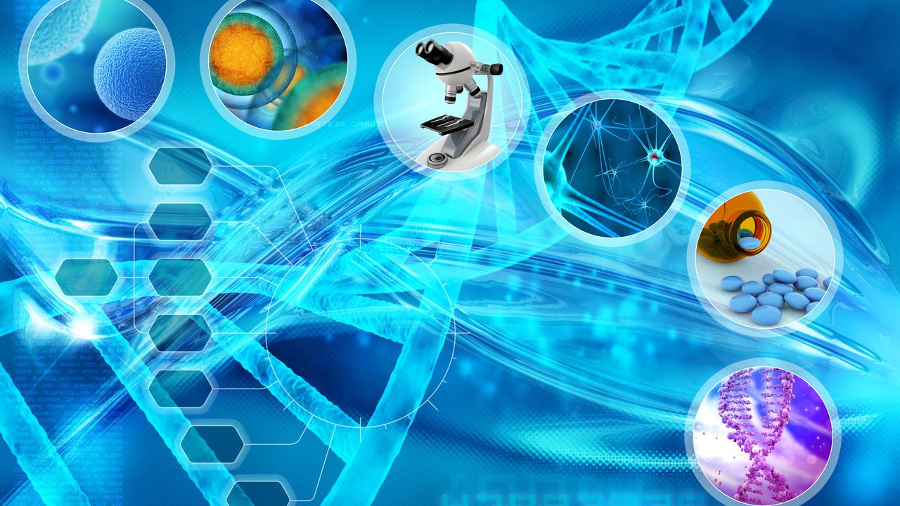 Logo for Screening Strategies in Drug Discovery