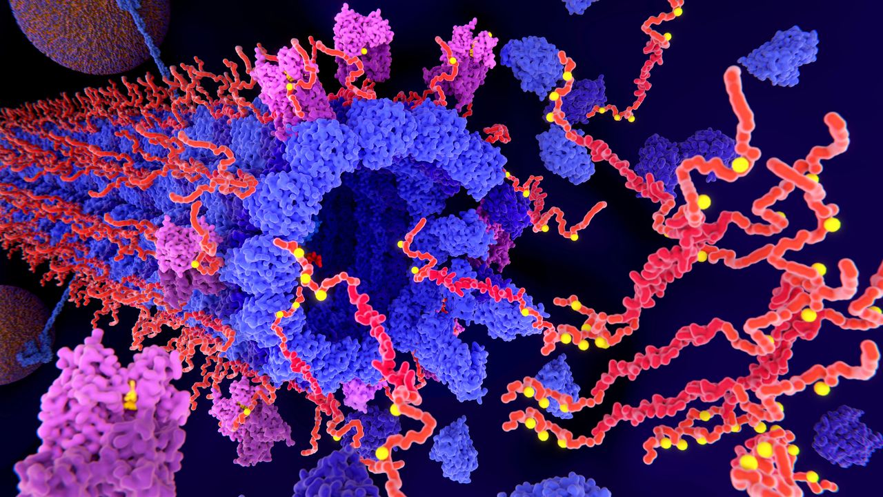 Logo for Structural Biology