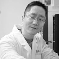 A picture of Rongjie Fu