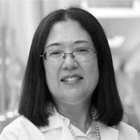 A picture of Wendy Chung, PhD