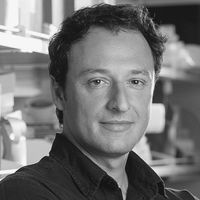 Black-and-white professional headshot of a person facing the camera, with a blurred office background.