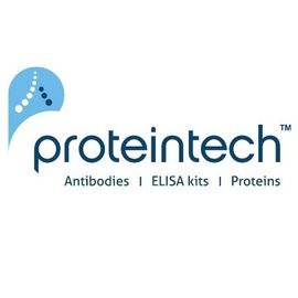 Proteintech Logo