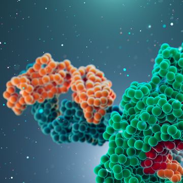 Image for ProPure™ Endotoxin-Free Proteins