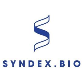 Syndex Bio logo