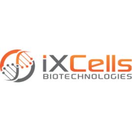 iXCells Biotechnologies logo