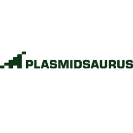 Plasmidsaurus logo